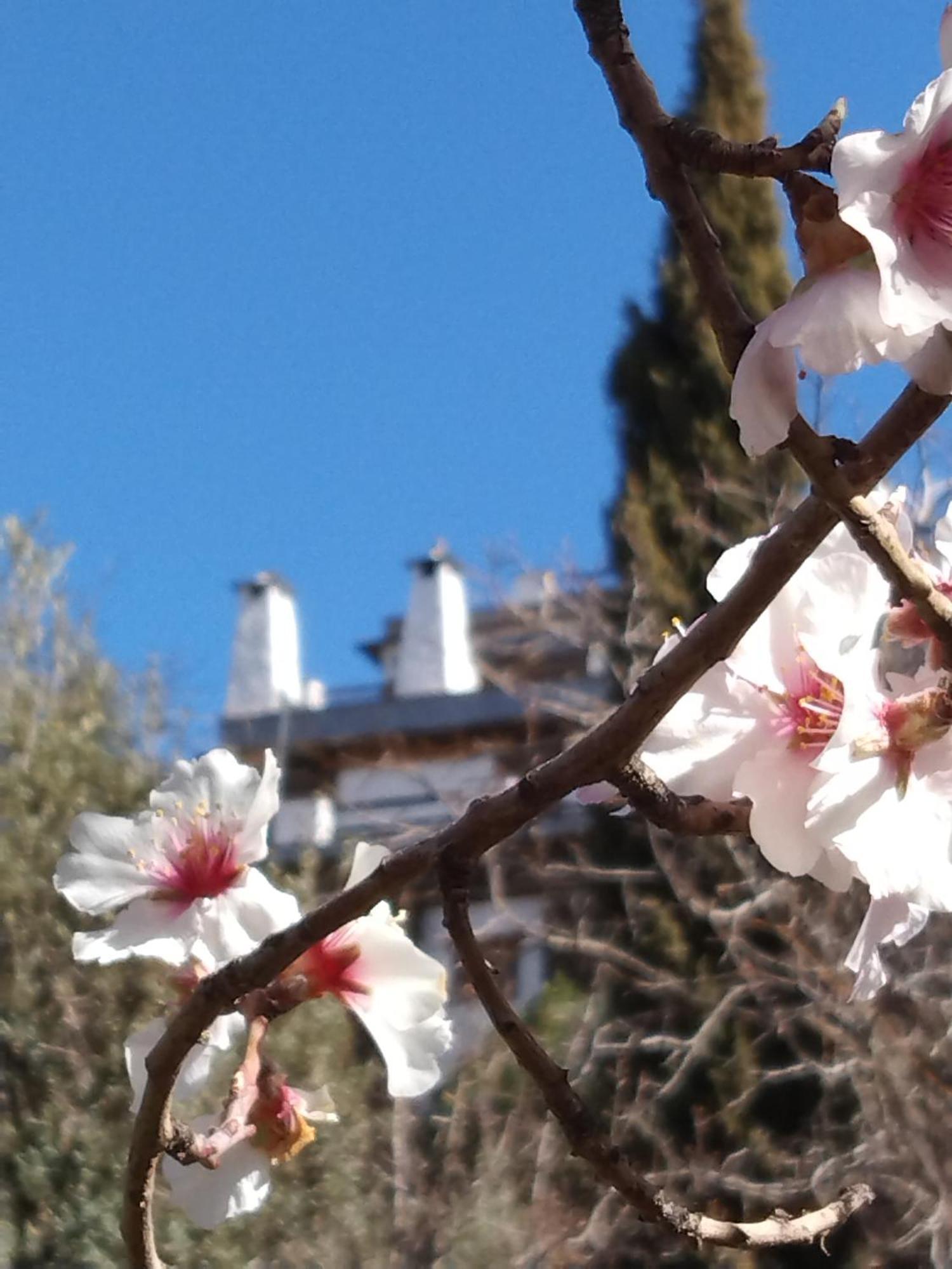 La Posada Del Altozano Lanteira Εξωτερικό φωτογραφία
