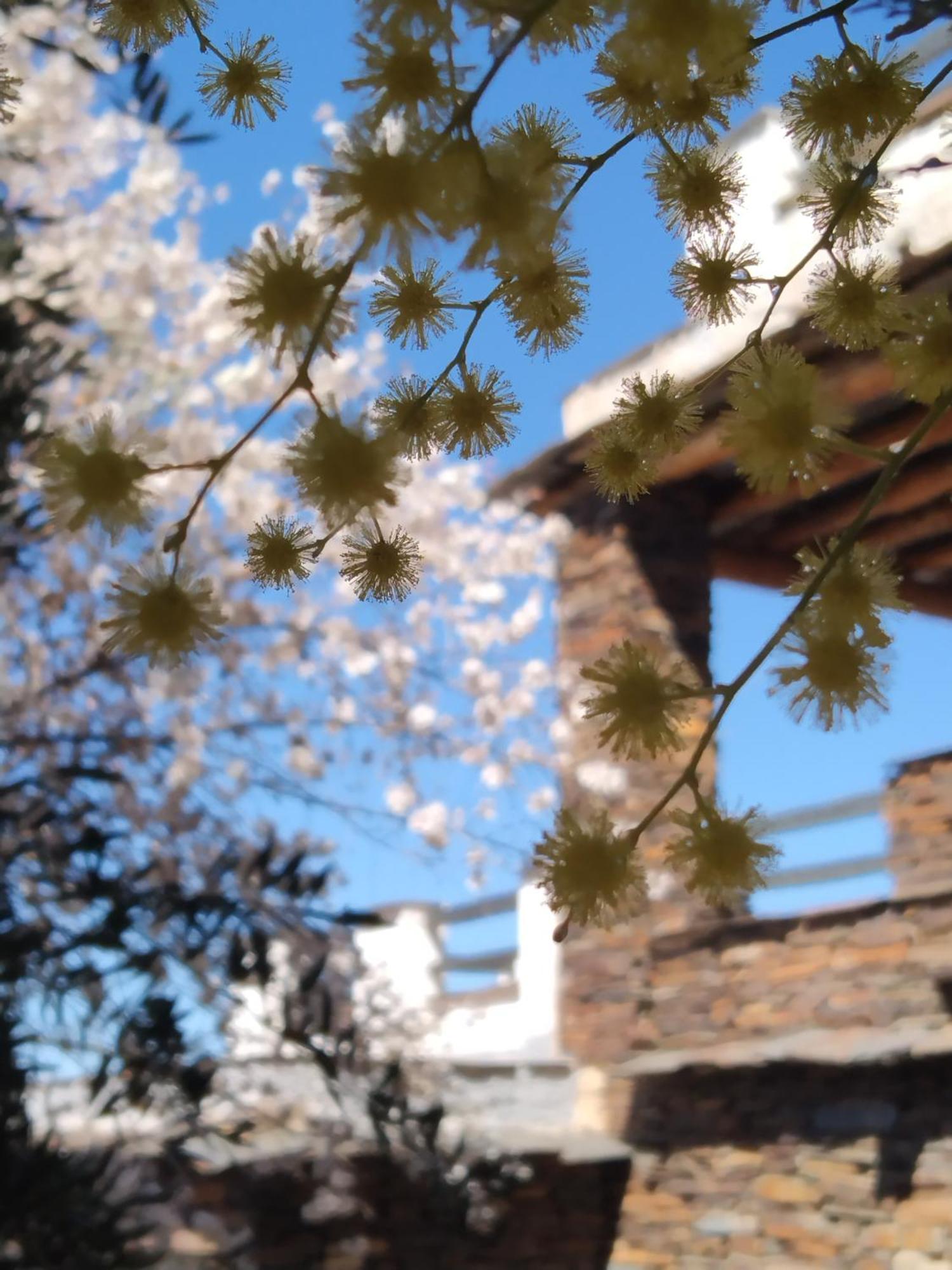 La Posada Del Altozano Lanteira Εξωτερικό φωτογραφία