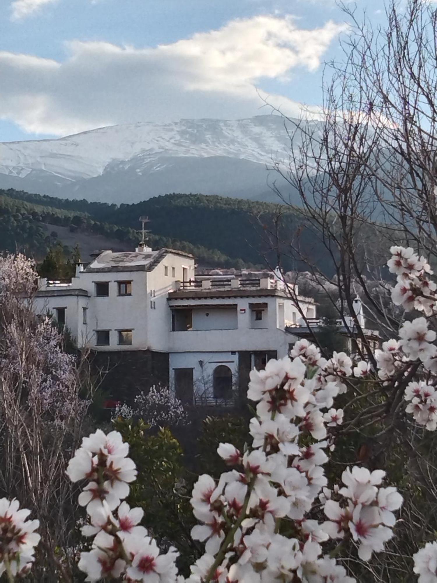 La Posada Del Altozano Lanteira Εξωτερικό φωτογραφία