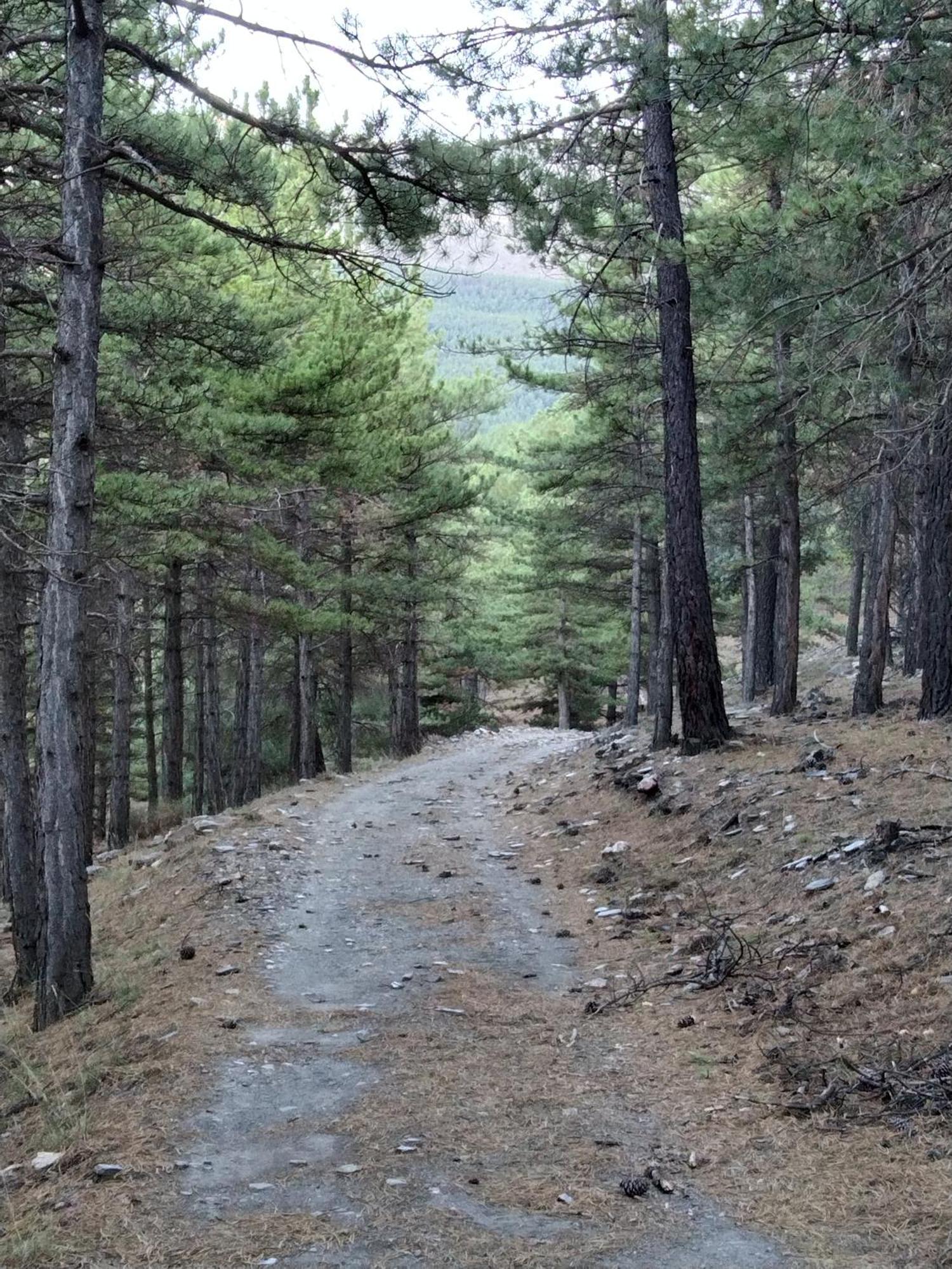 La Posada Del Altozano Lanteira Εξωτερικό φωτογραφία